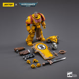 Warhammer Collectibles: 1/18 Scale Imperial Fists Veteran Brother Thracius