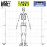 3D Print: Positionable Human Skeletons 1:35