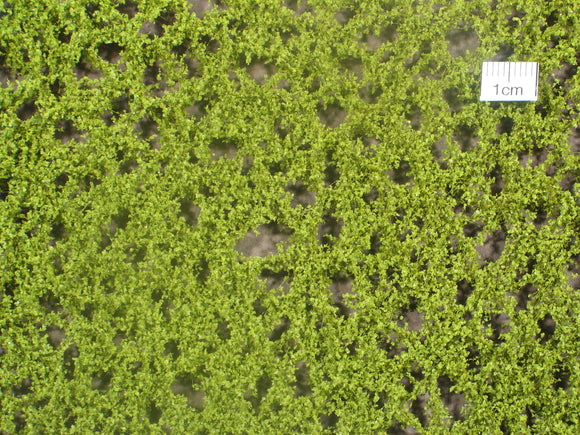 Small Beech Foliage Spring (920-11s)