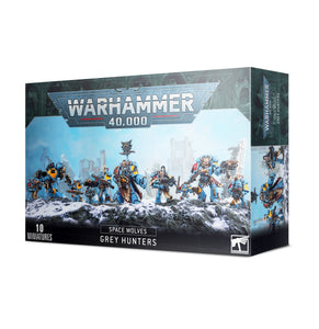 53-06 Space Wolves Grey Hunters 2020