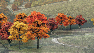 WS 3/4" - 2" Fall Colours Deciduous Trees