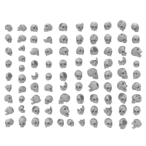 3d Printed: Human Skulls (85) Set