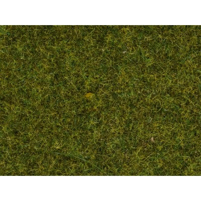 8212 Scatter Grass 