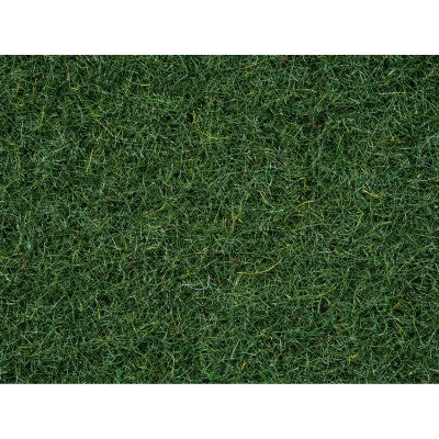 8320 Scatter Grass 