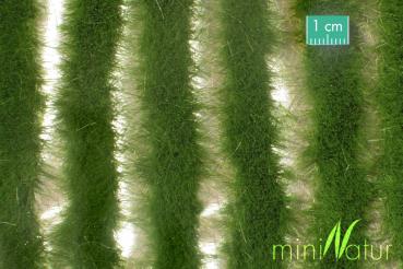 X-Long Grass Strips Summer