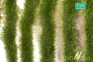 X-Long Grass Strips Early Autumn 728-33 S