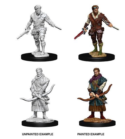 D&D Male Human Rogue 73702