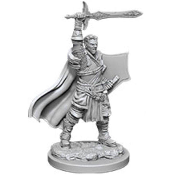 D&D Human Paladin Male 1 (90060)