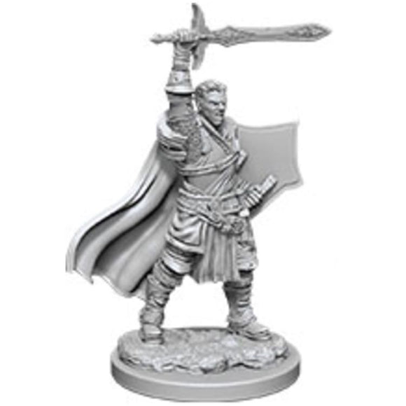 Dungeons & Dragons Nolzurs Marvelous Human Paladin Male 1