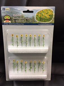 O: 50mm Sunflowers (16)
