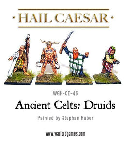 Ancient Celts: Druids